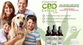 Essential Cbd Extract For Pets – protection corporelle - composition - site officiel – avis